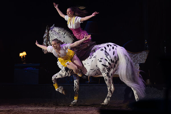 Découvrez le nouveau spectacle de cirque et d’art équestre d’Analya création à Colombier